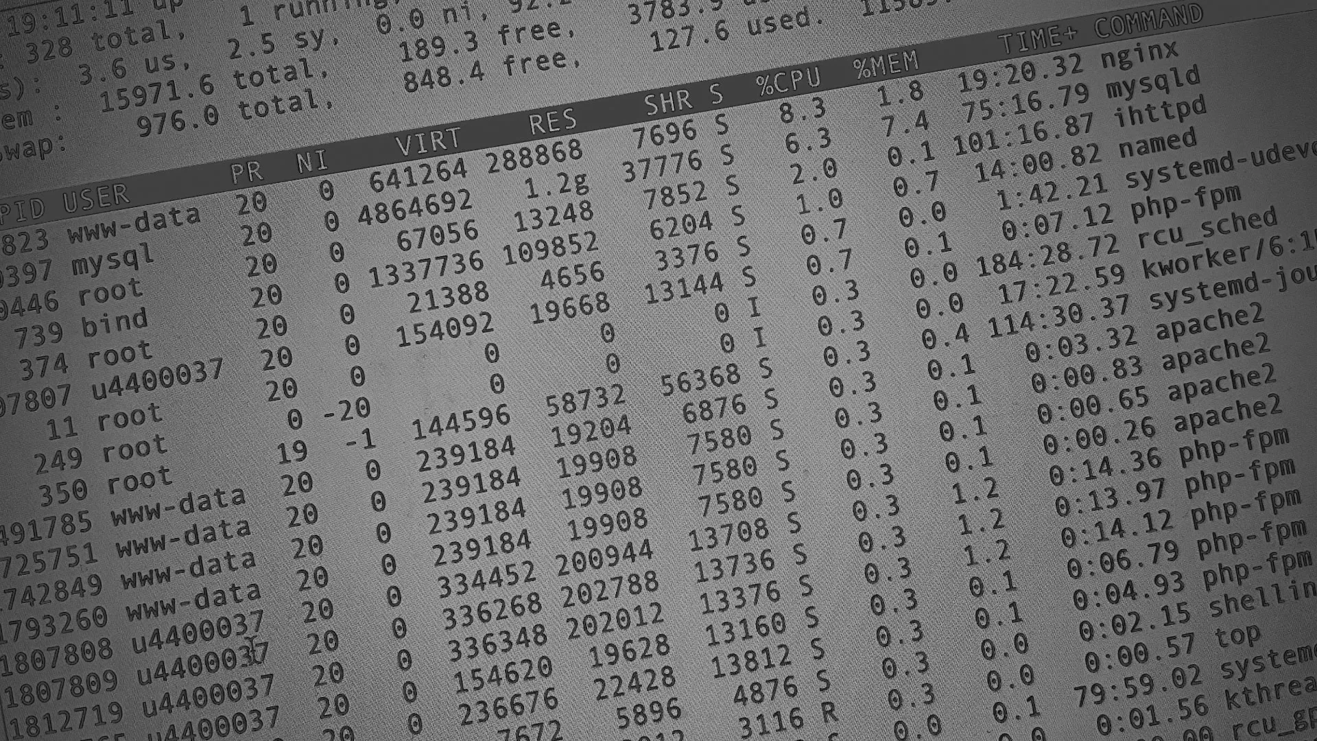 Настройка сервера в Высоцке